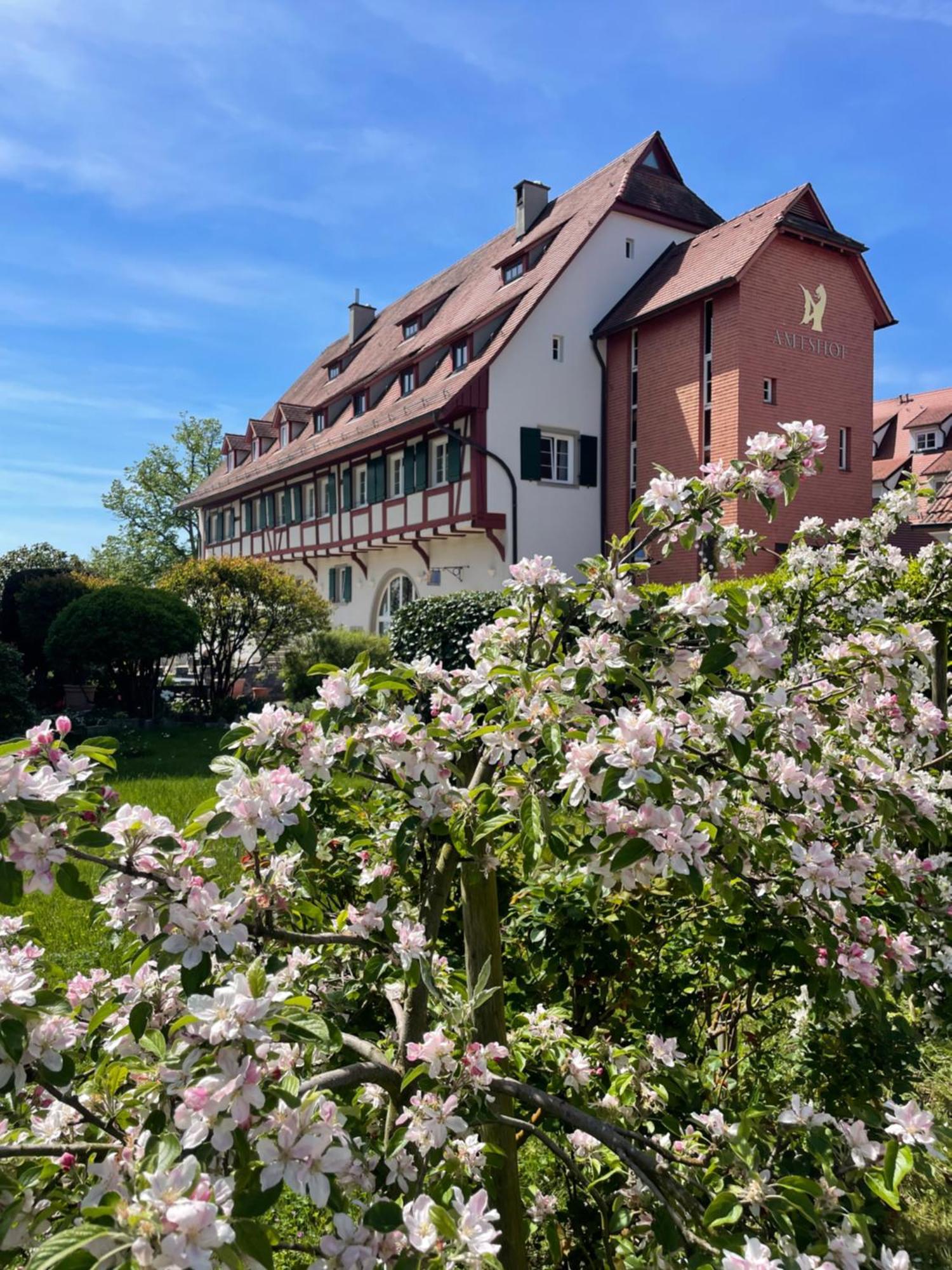 Seehotel Amtshof Langenargen Eksteriør bilde